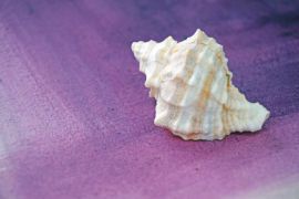 Die Pigmente der Ikonenmalerei – aus europäischer Sicht