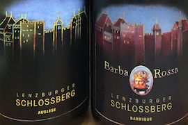 Lenzburger Wein – 70 Jahre Ortsbürger Rebbauern-Vereinigung